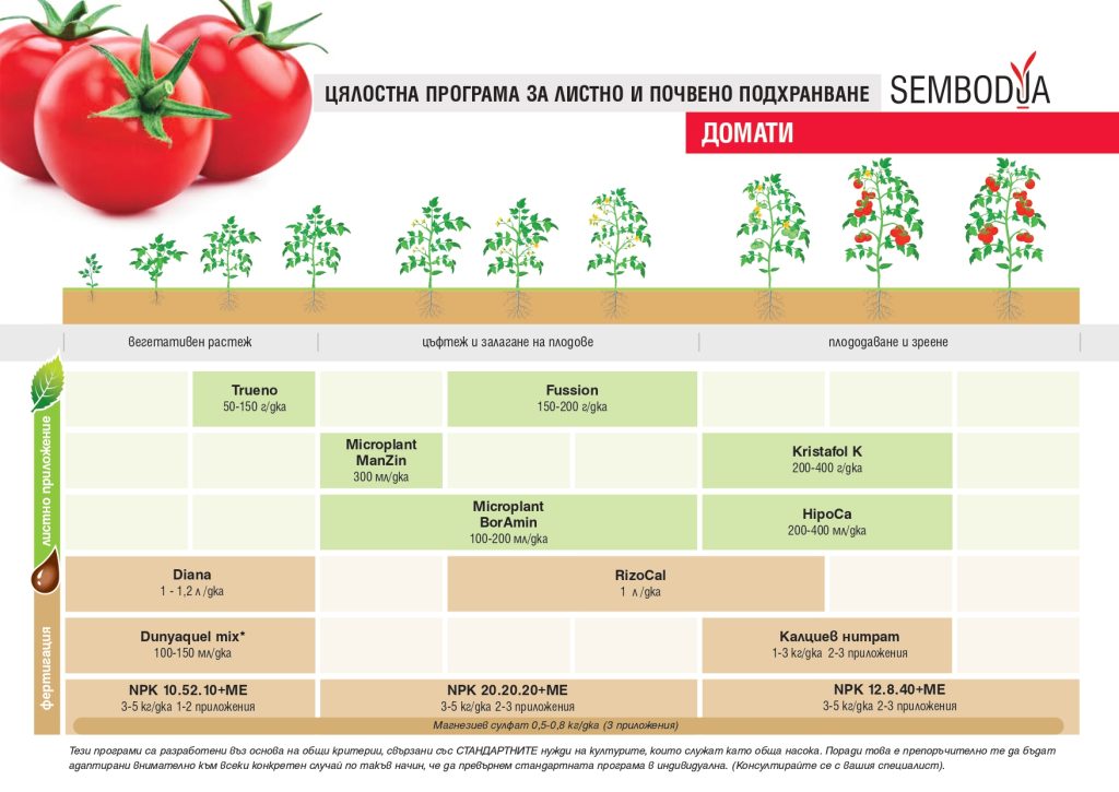 Торене на домати