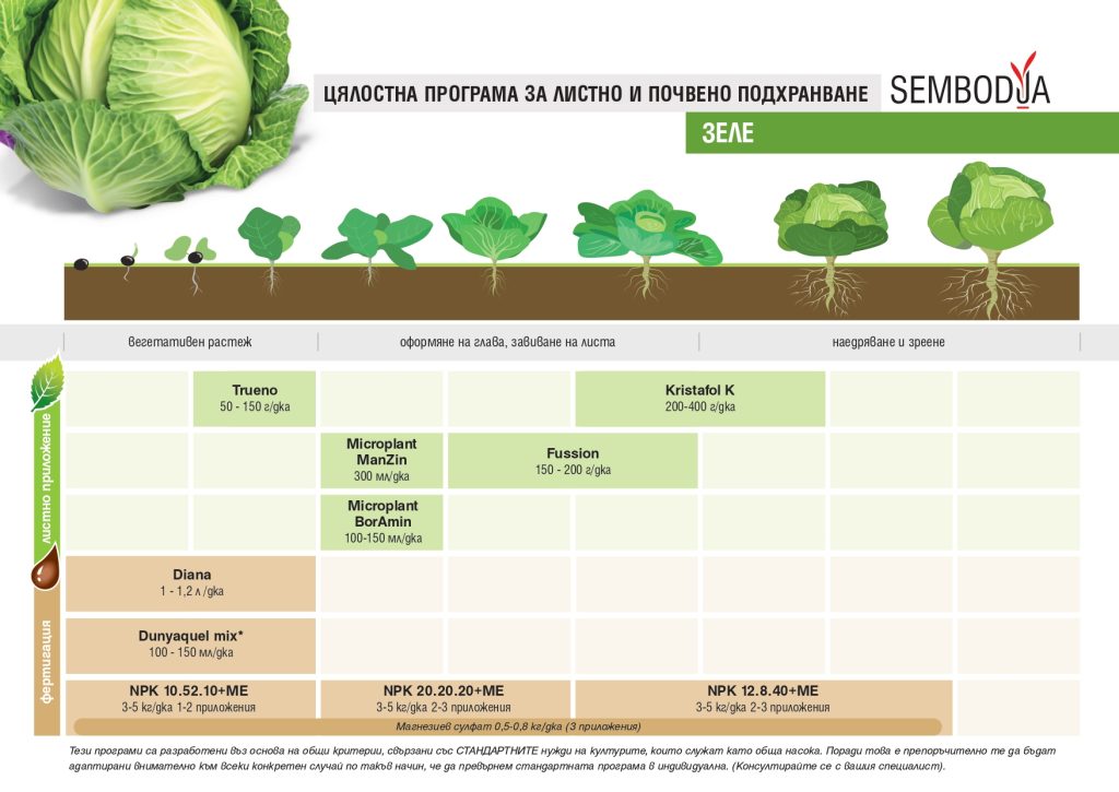 Торене на зеле