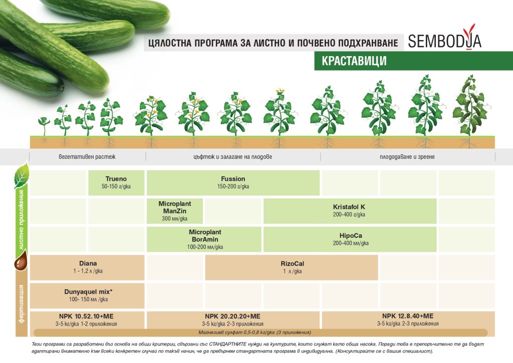 Торене на краставици