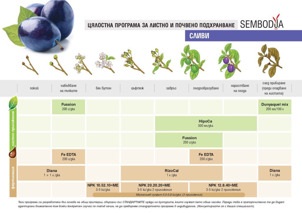 Сливи_page-0001