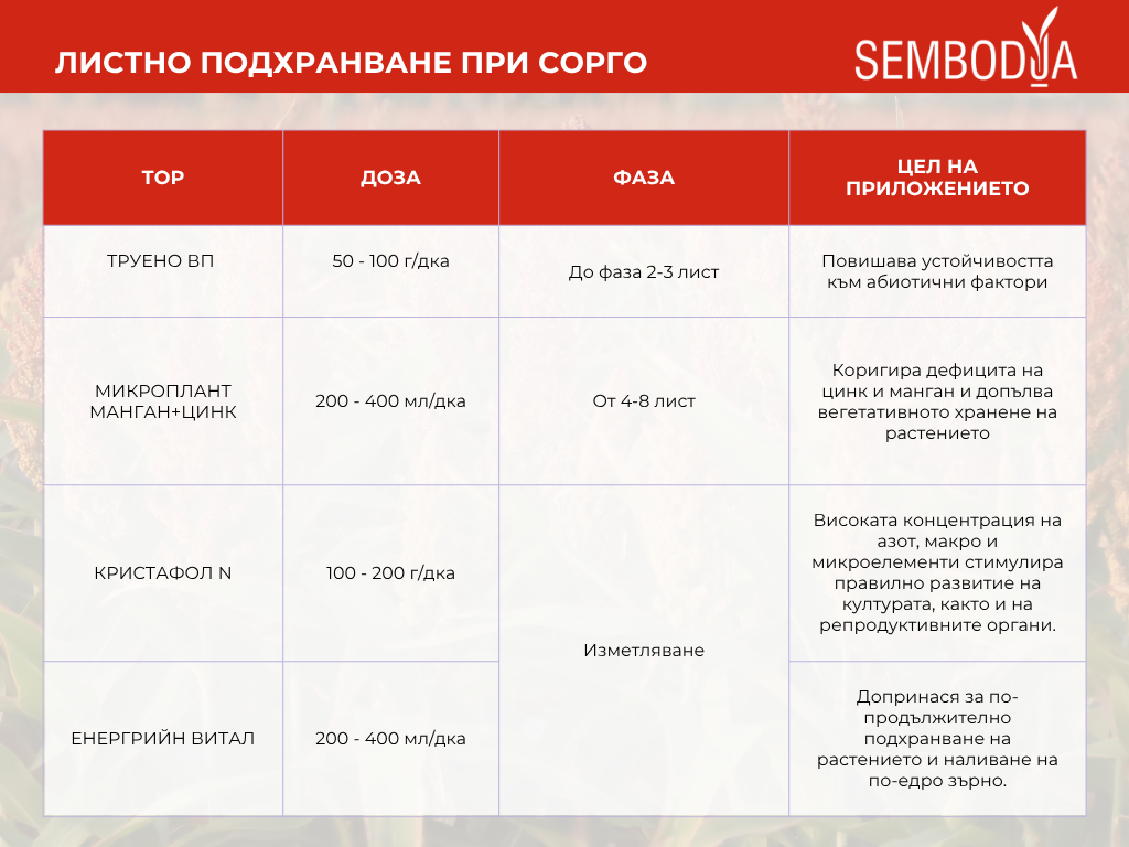 листно торене при сорго