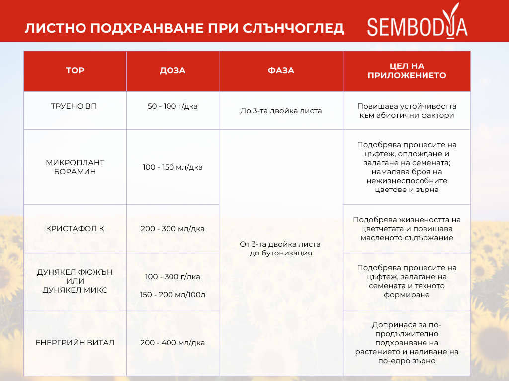 слънчоглед - листно подхранване слънчоглед - листно подхранване