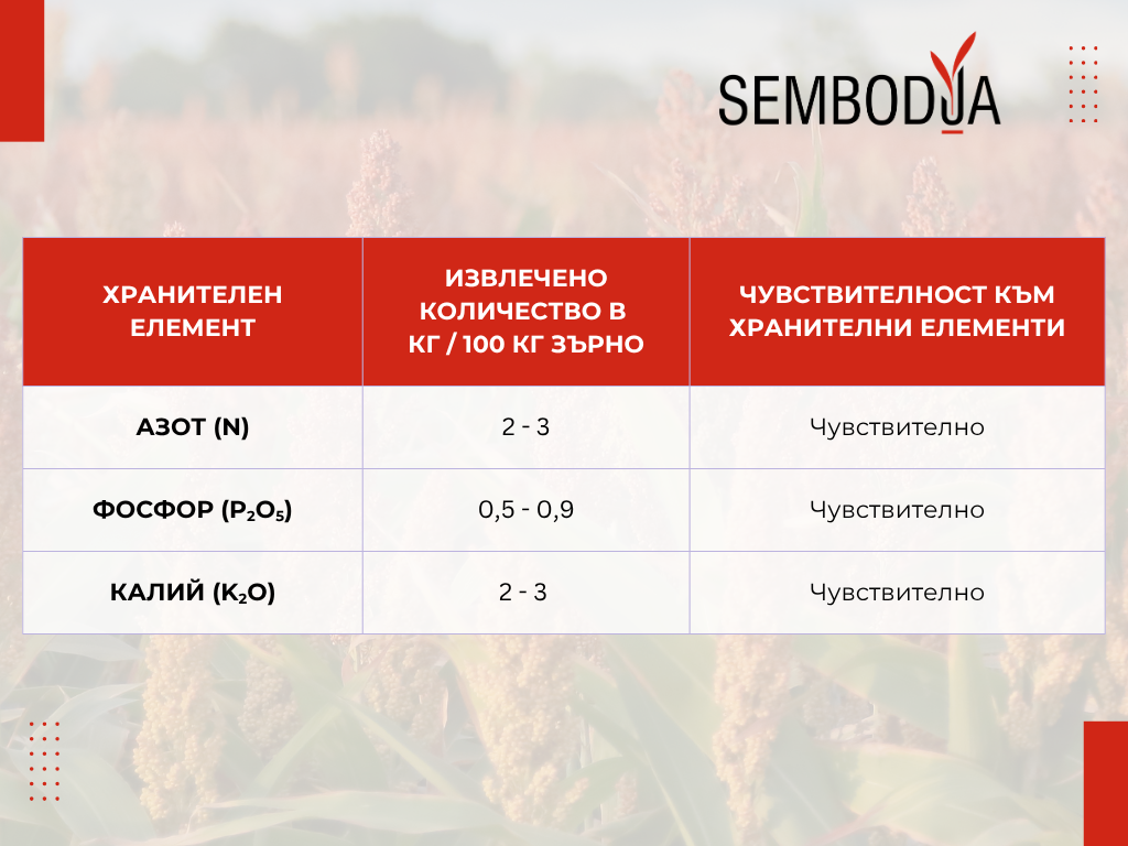 сорго - износ хранителни елементи
