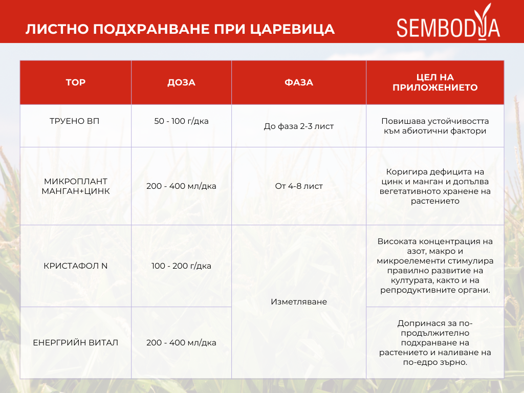 царевица - листно подхранване