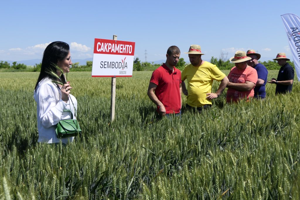 Сакраменто Сакраменто