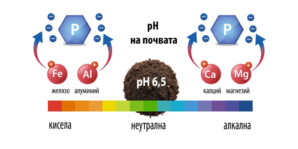 реакция на почвата pH фосфор