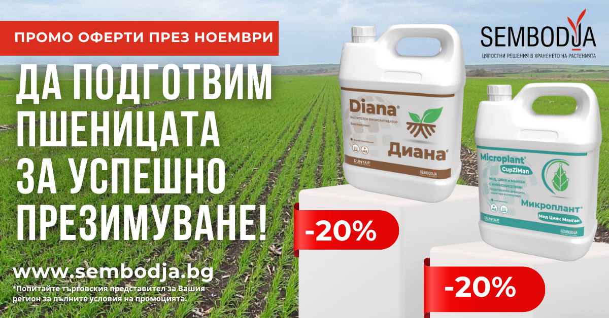 промо-оферти-ноември (10)