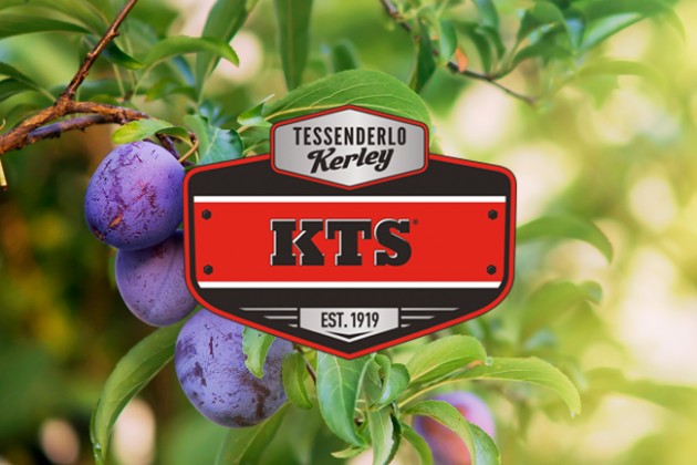 2021_Product-pages-block-pictures-per-product-KTS