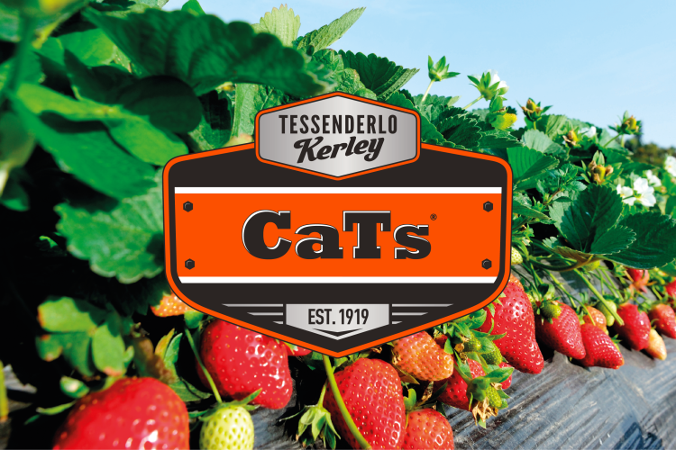 cats-product-page-header-01