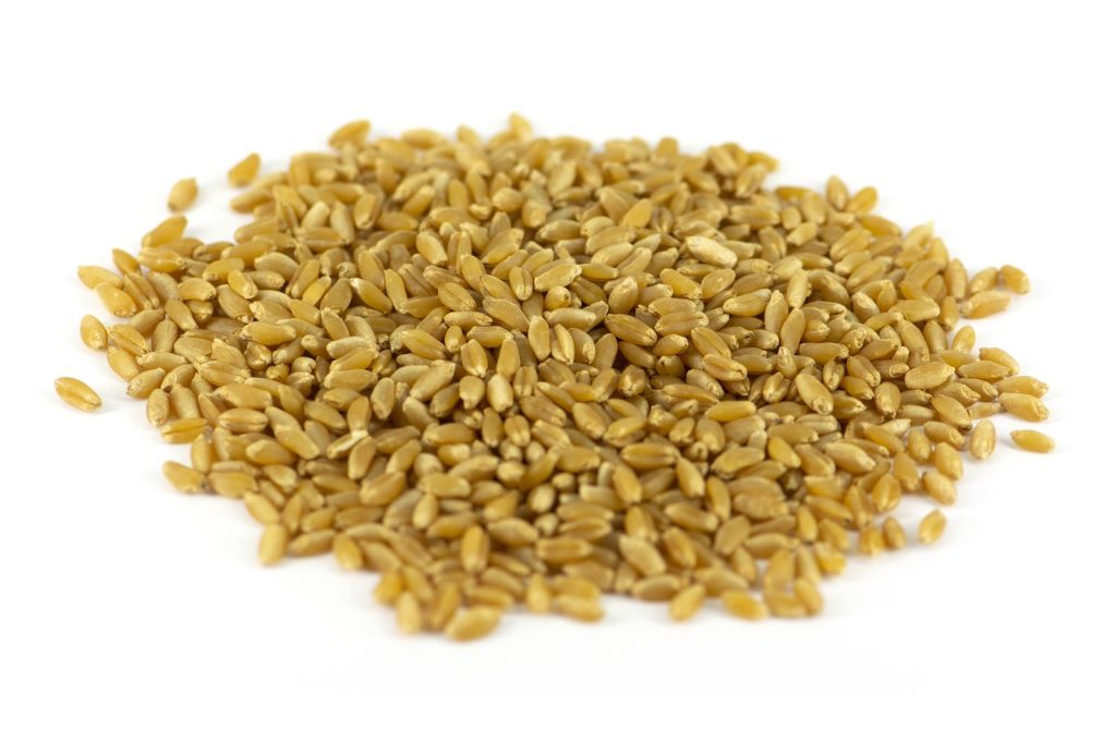 Nazareno_grain_1