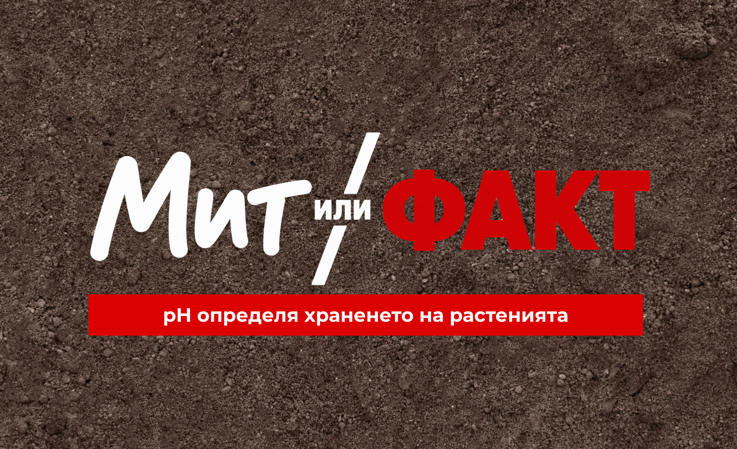 "Мит или факт" рубрика от Сембодиа. Разглеждаме как pH на почвата влияе на цялостната програма за храненето на растенията