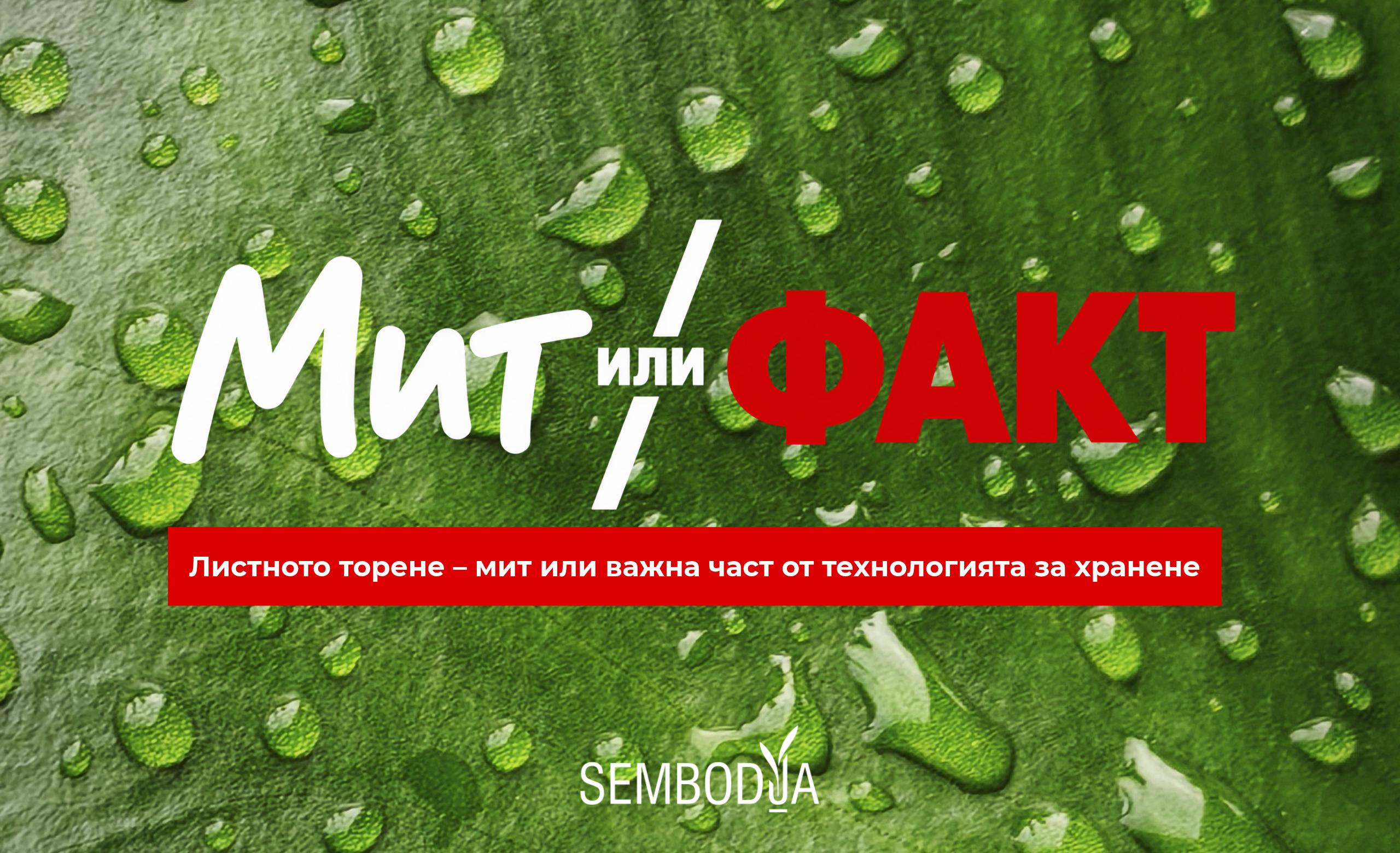 Мил или факт - поредица от Сембодиа. Тема: листното торене - мит или важна част от технологията на хранене