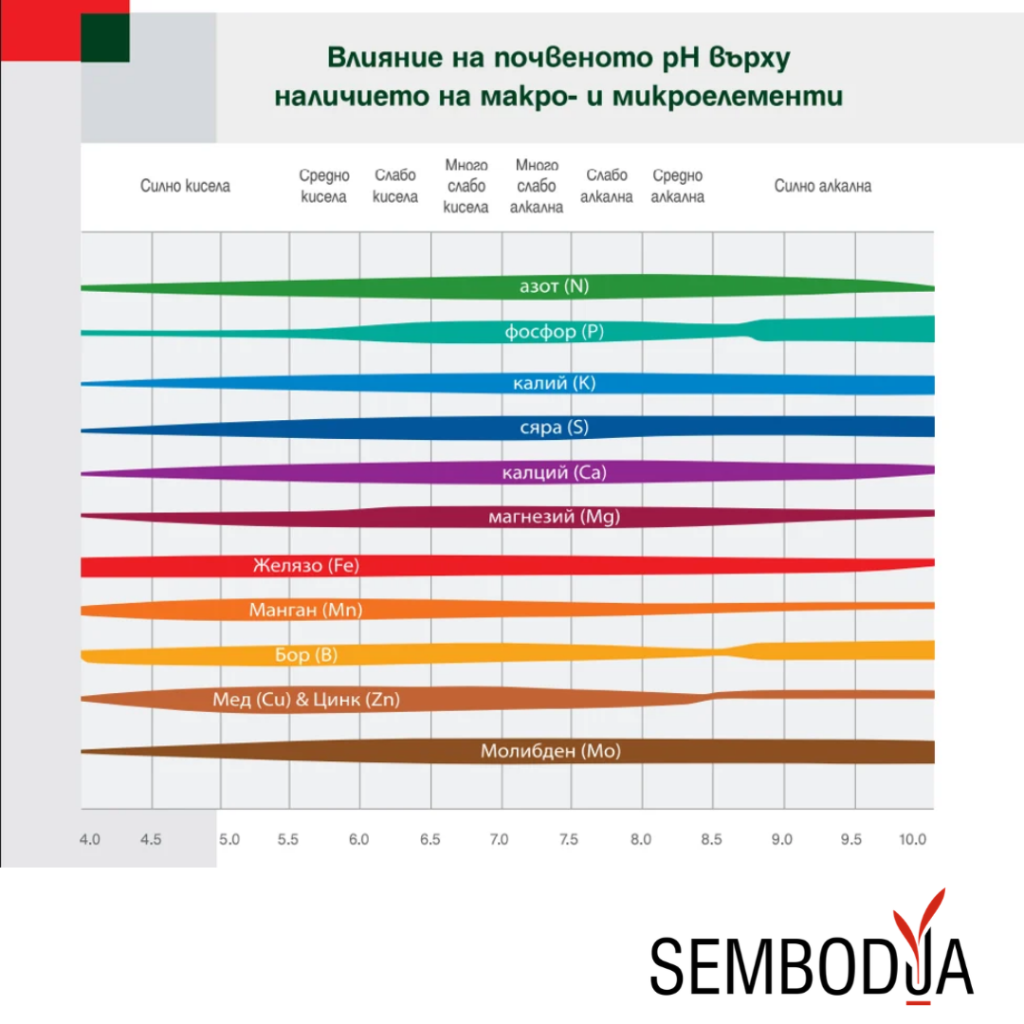 влияние на почвеното pH върху наличието на макро- и микроелементи